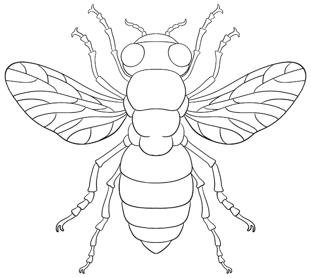 Page queen bee coloring pages vectors illustrations for free download