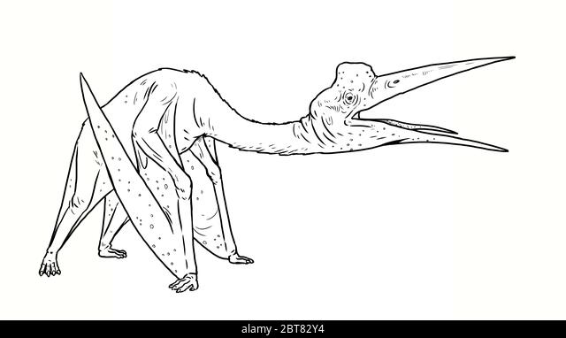 Prehistoric pterosaur