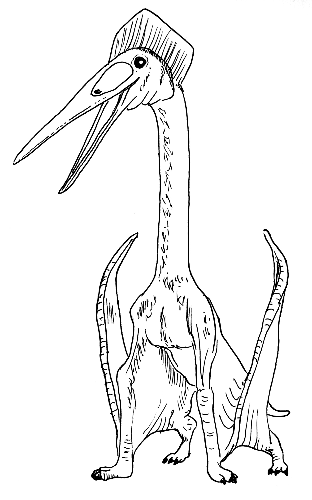 Quetzalcoatlus reviewing david attenboroughs life stories