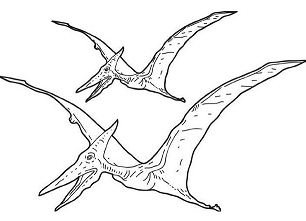 Pterodactyl coloring pages printable for free download