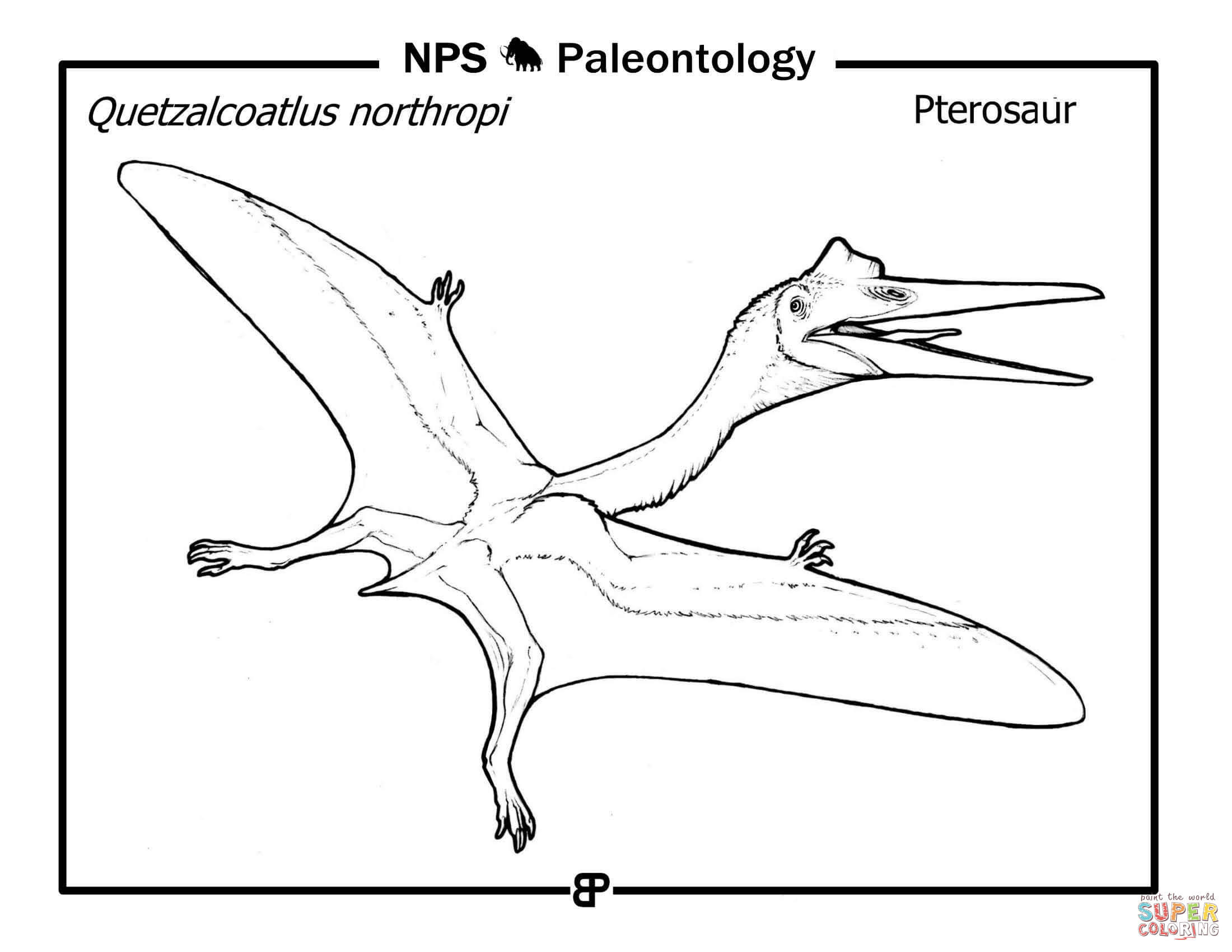 Pterosaur quetzalcoatlus northropi coloring page free printable coloring pages