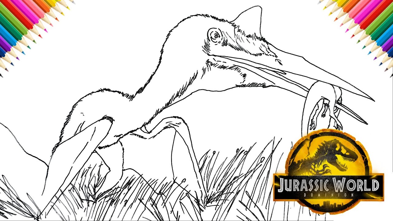 How to draw quetzalcoatlus jurassic world drawing and coloring