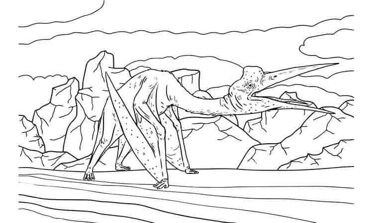 Dinosaur coloring pages kids coloring pages