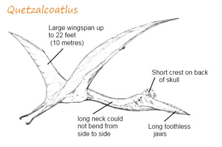 Quetzalcoatlus