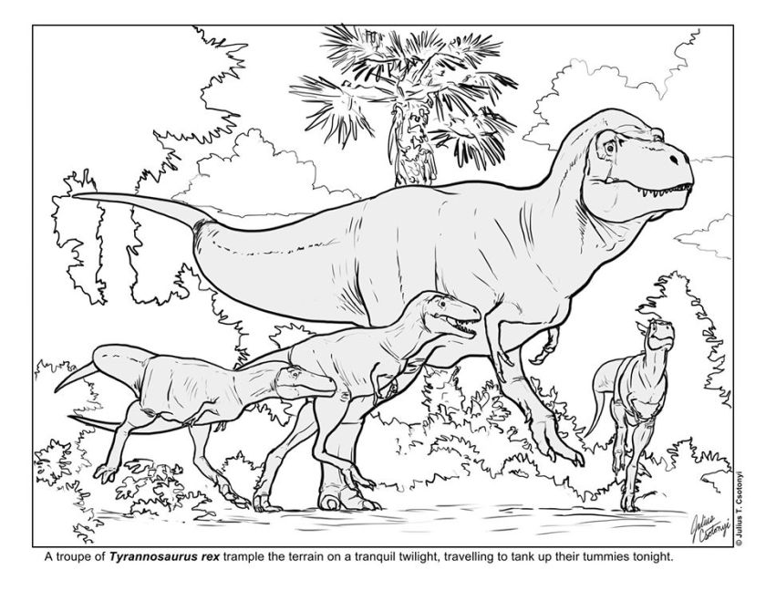 More dinosaur coloring pages â dino dad reviews