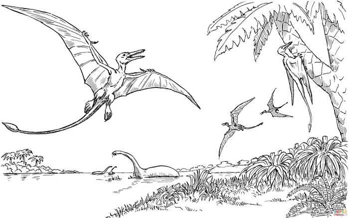 Quetzalcoatlus dinosaur coloring page dinosaur coloring pages dinosaur coloring dinosaur coloring sheets