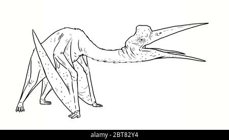 Prehistoric pterosaur