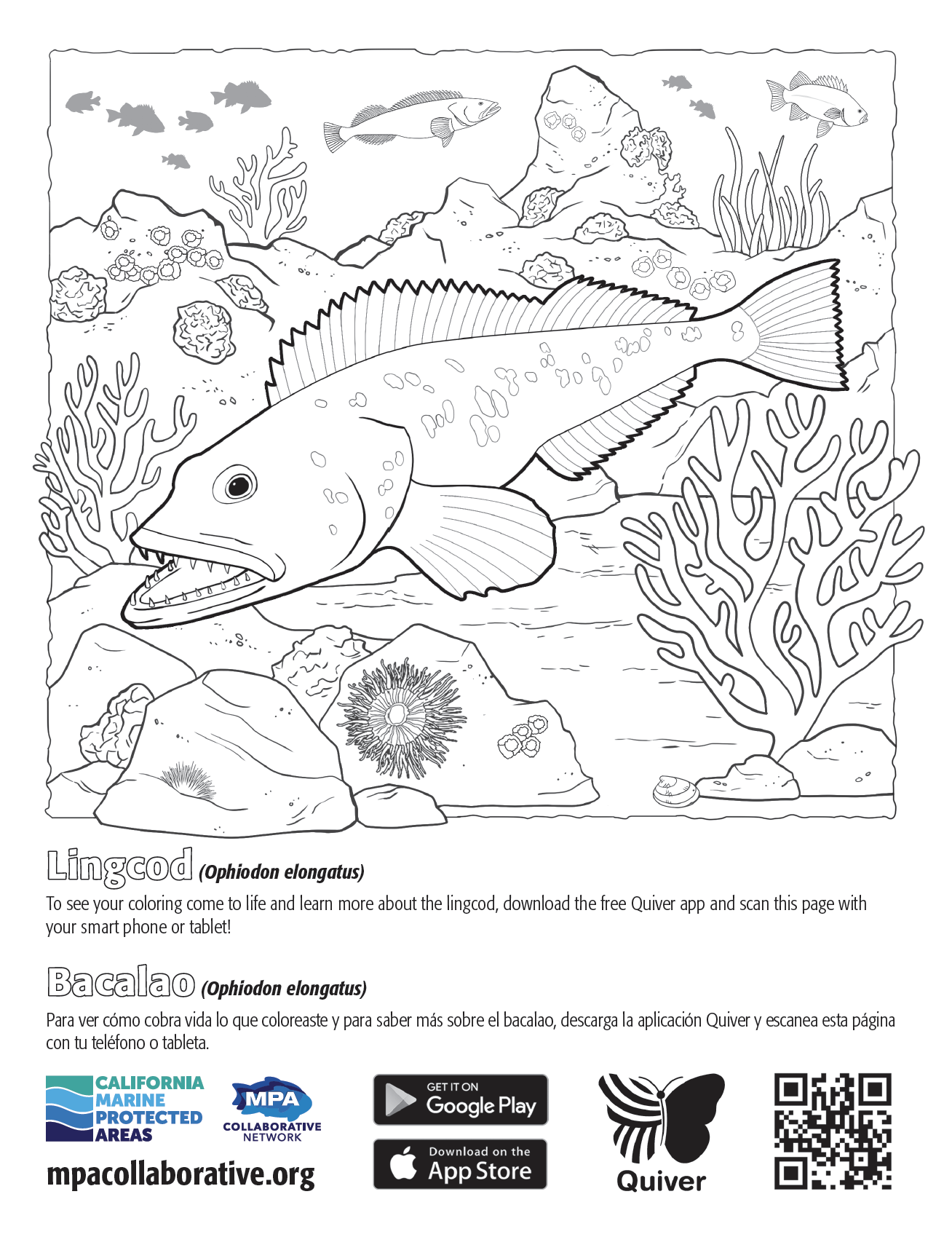 Bilingual coloring and activity books bring marine protected areas to life with augmented reality