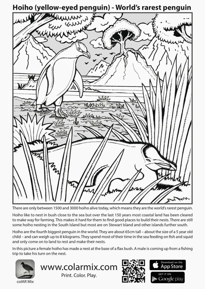 Quiver coloring pages pictures of quiver coloring page kidskunst