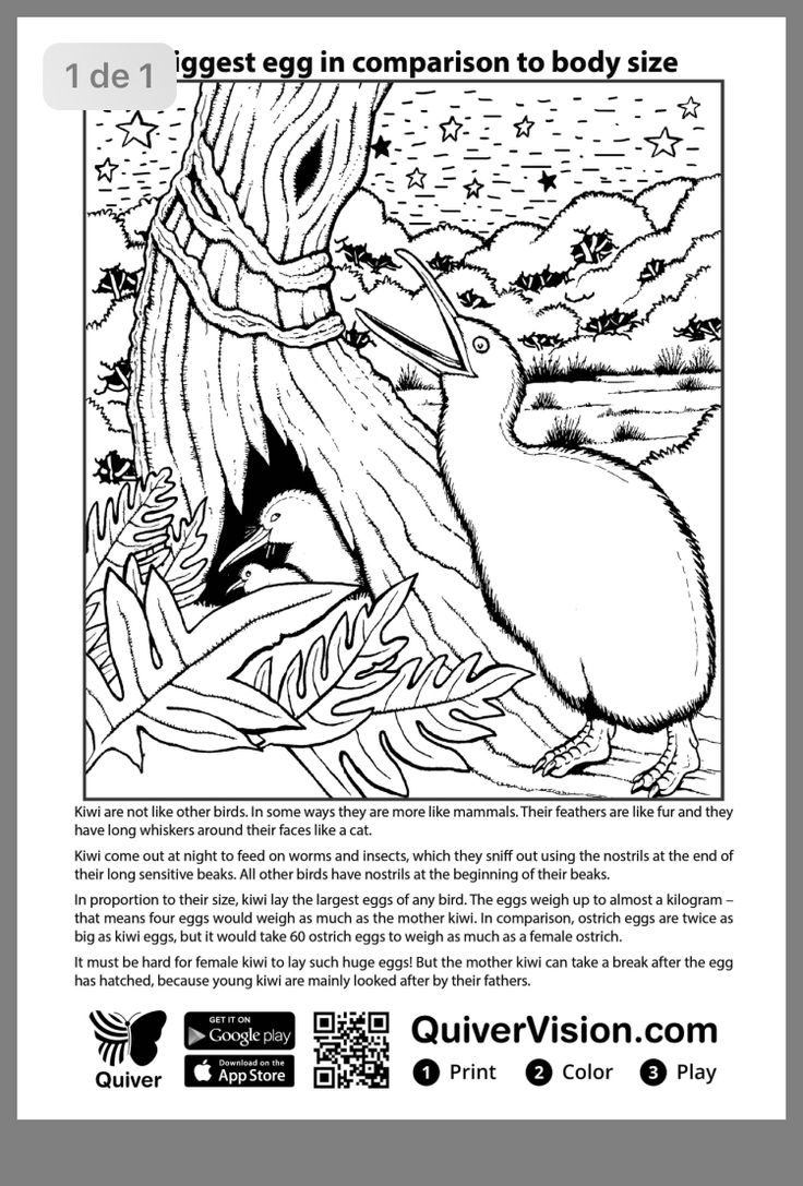 Quivervision coloring pages coloring books free coloring pages