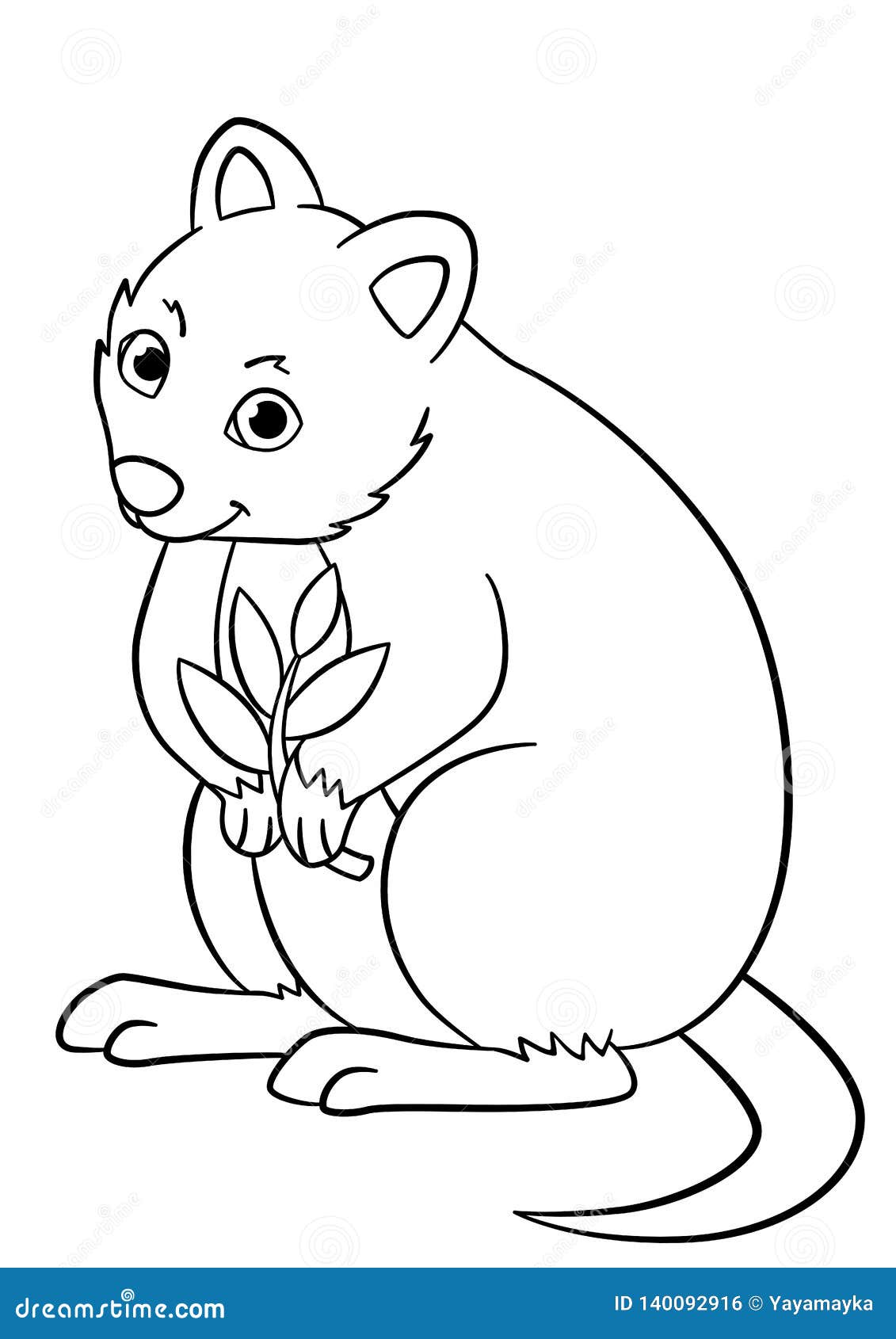 Coloring pages little cute quokka holds the plant stock vector