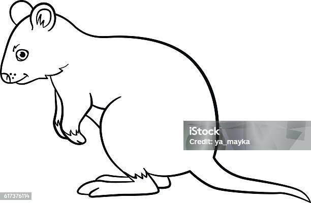 Coloring pages little cute quokka smiles stock illustration