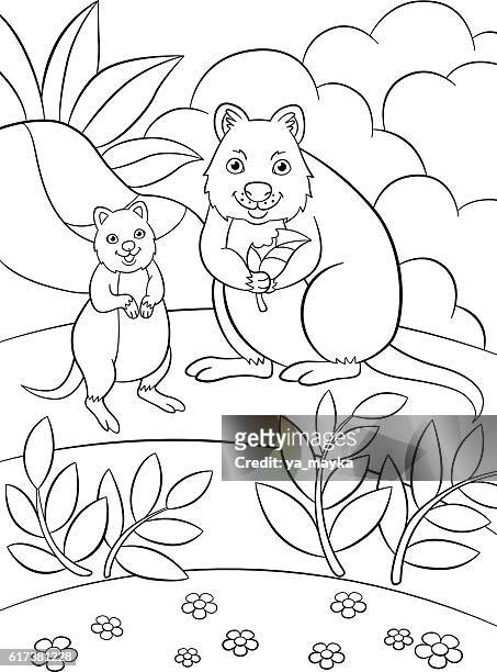 Colorg pages mother quokka with her cute baby high