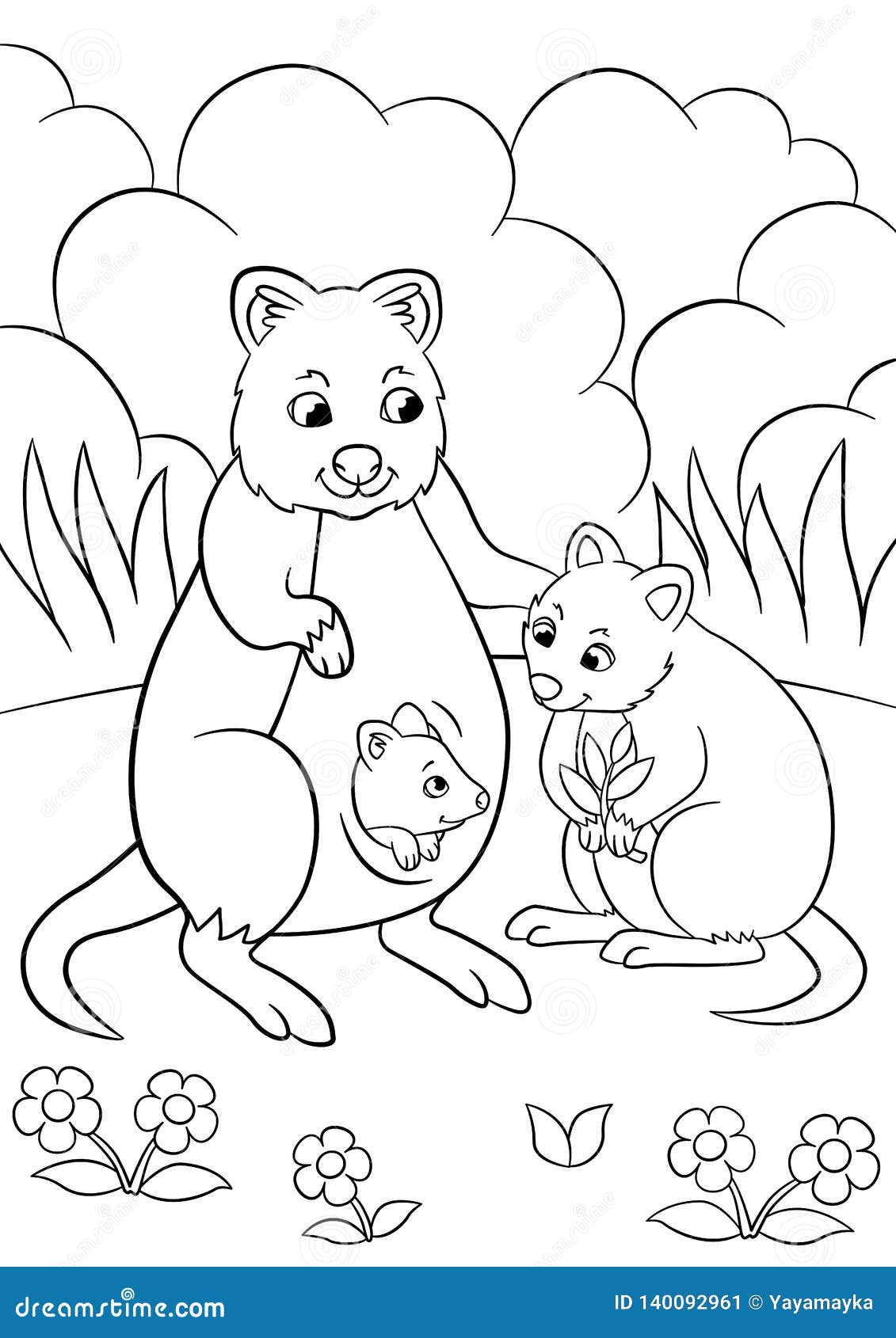 Coloring pages mother quokka with her little cute babies stands stock vector