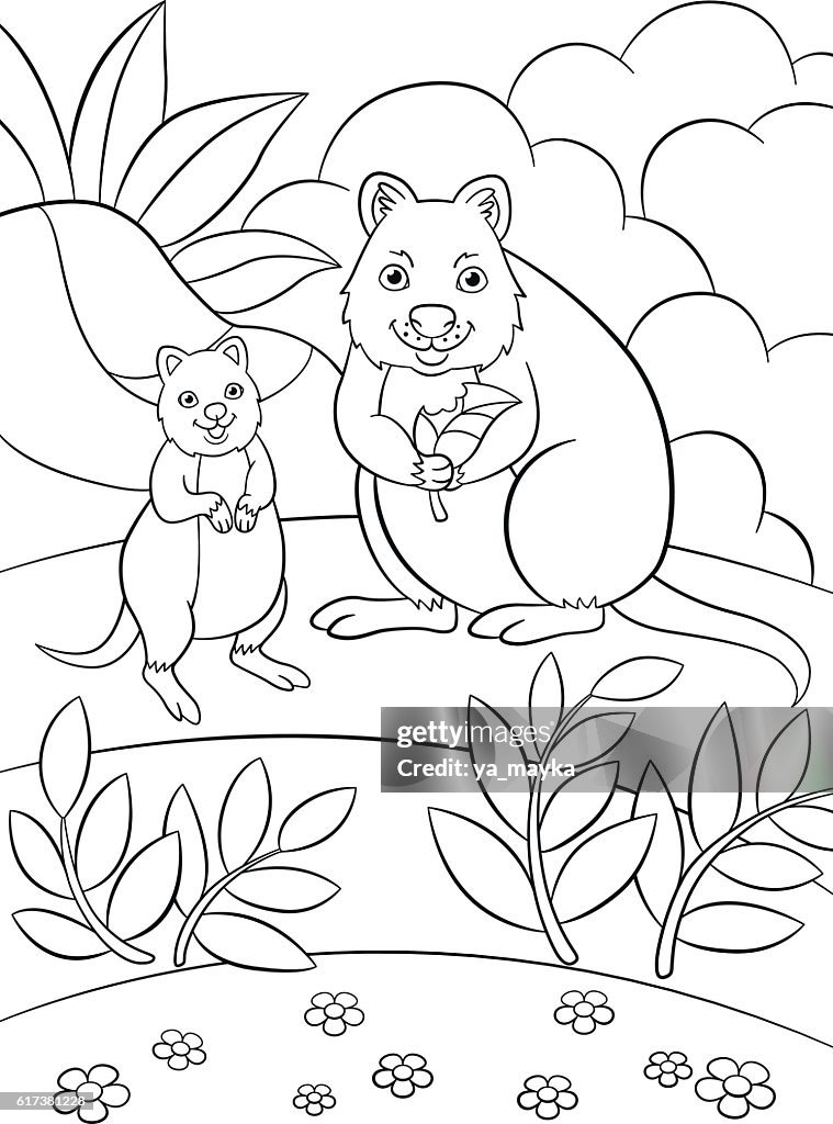 Colorg pages mother quokka with her cute baby high