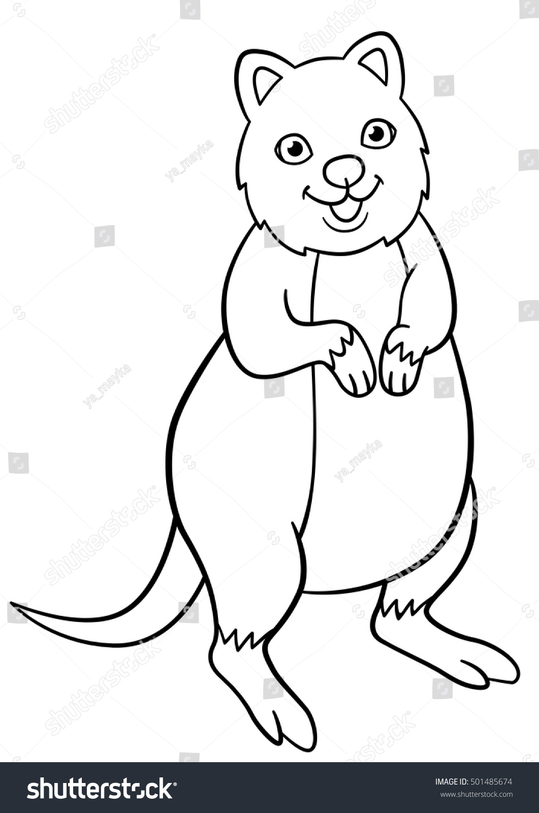 Coloring pages little cute quokka stands stock vector royalty free