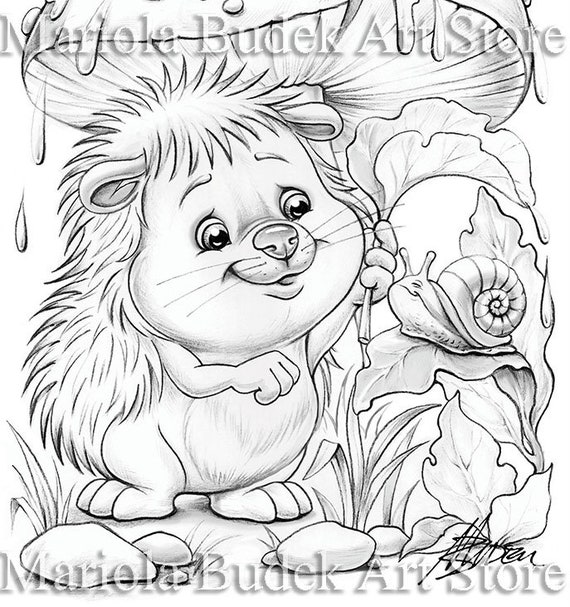 Rain in the forest mariola budek coloring page printable adult kids colouring pages instant download grayscale lineart ilustration pdf