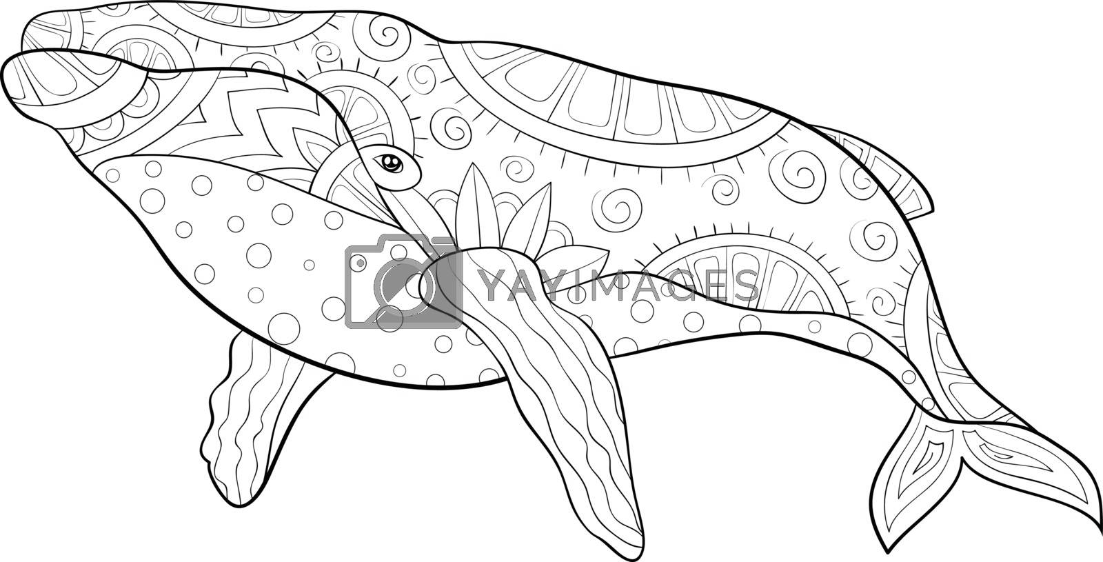 Adult coloring bookpage a cute whale with ornaments image for r by nonuzza vectors illustrations with unlimited downloads