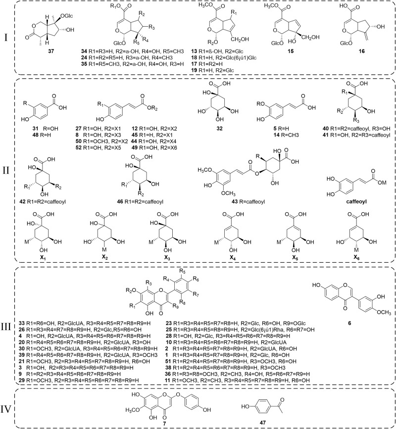 Integrated serum pharmacochemistry s rrna sequencing and metabolomics to reveal the material basis and mechanism of yinzhihuang granule against non