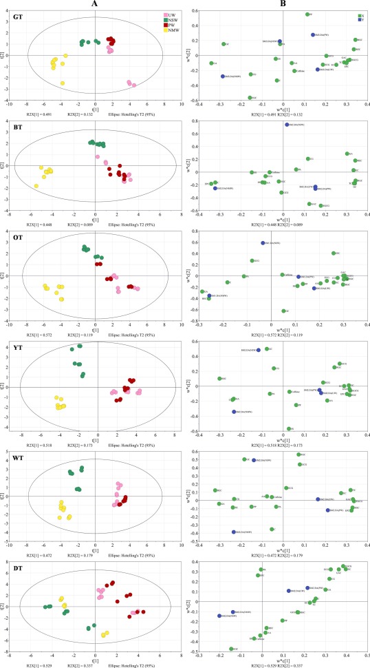 Effects of brewing water on the sensory attributes and physicochemical properties of tea infusions