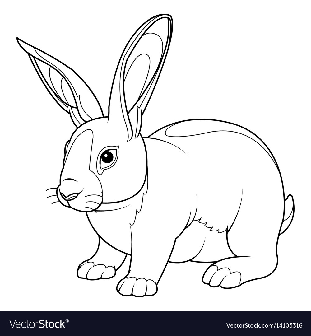 Rabbit coloring page royalty free vector image