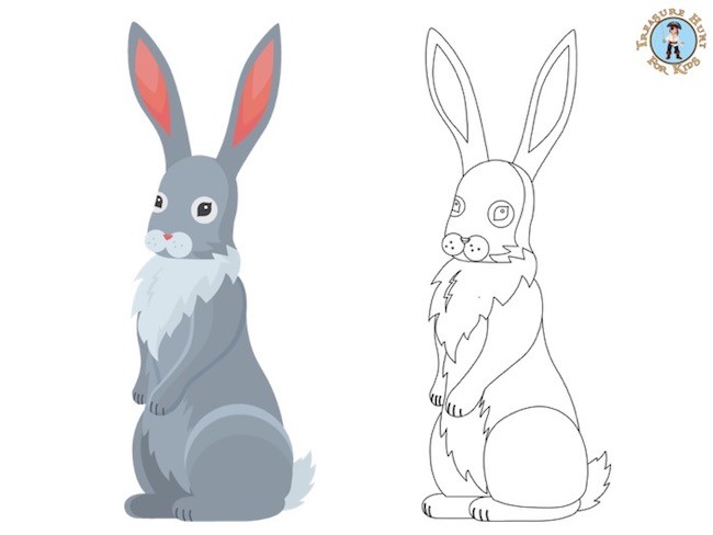 Rabbit coloring page