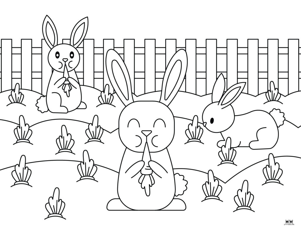 Bunny coloring pages