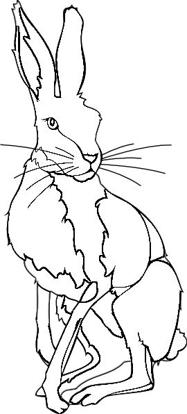 Rabbit embroidery pattern bunny coloring pages embroidery patterns animal drawings