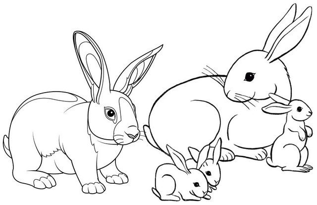 Real and cartoon rabbit coloring pages for children bunny coloring pages family coloring pages animal coloring pages