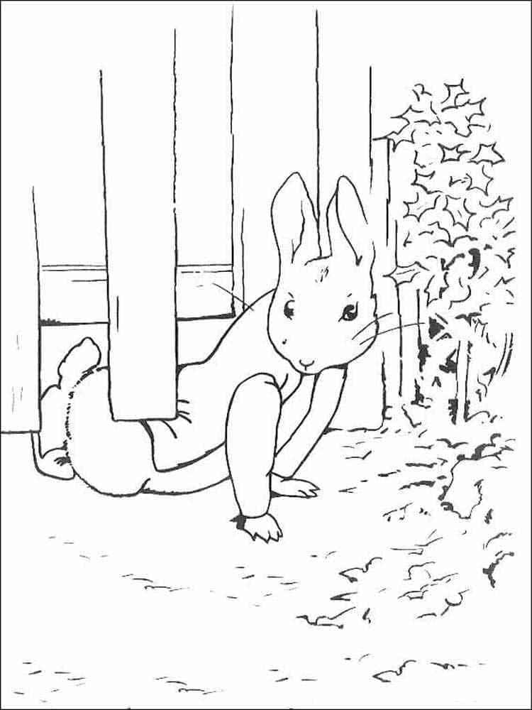 Peter rabbit family coloring page