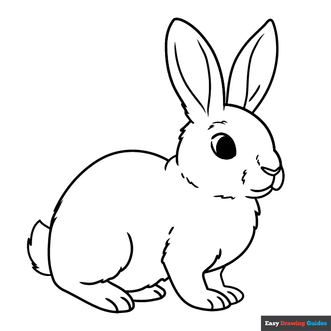 Rabbit coloring page easy drawing guides