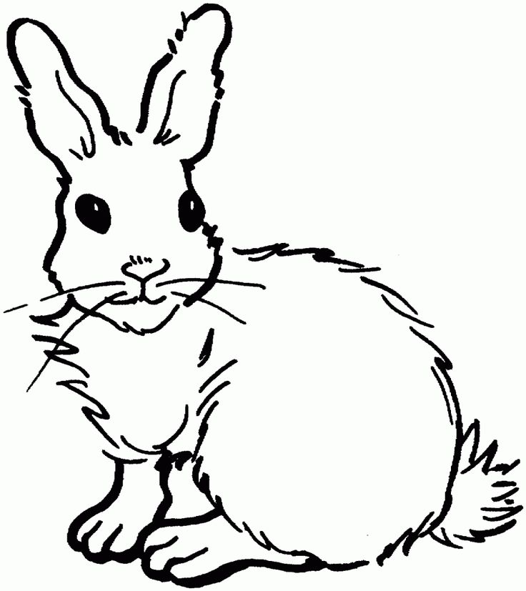 Coloring pages of a rabbit animal coloring pages bunny coloring pages horse coloring pages