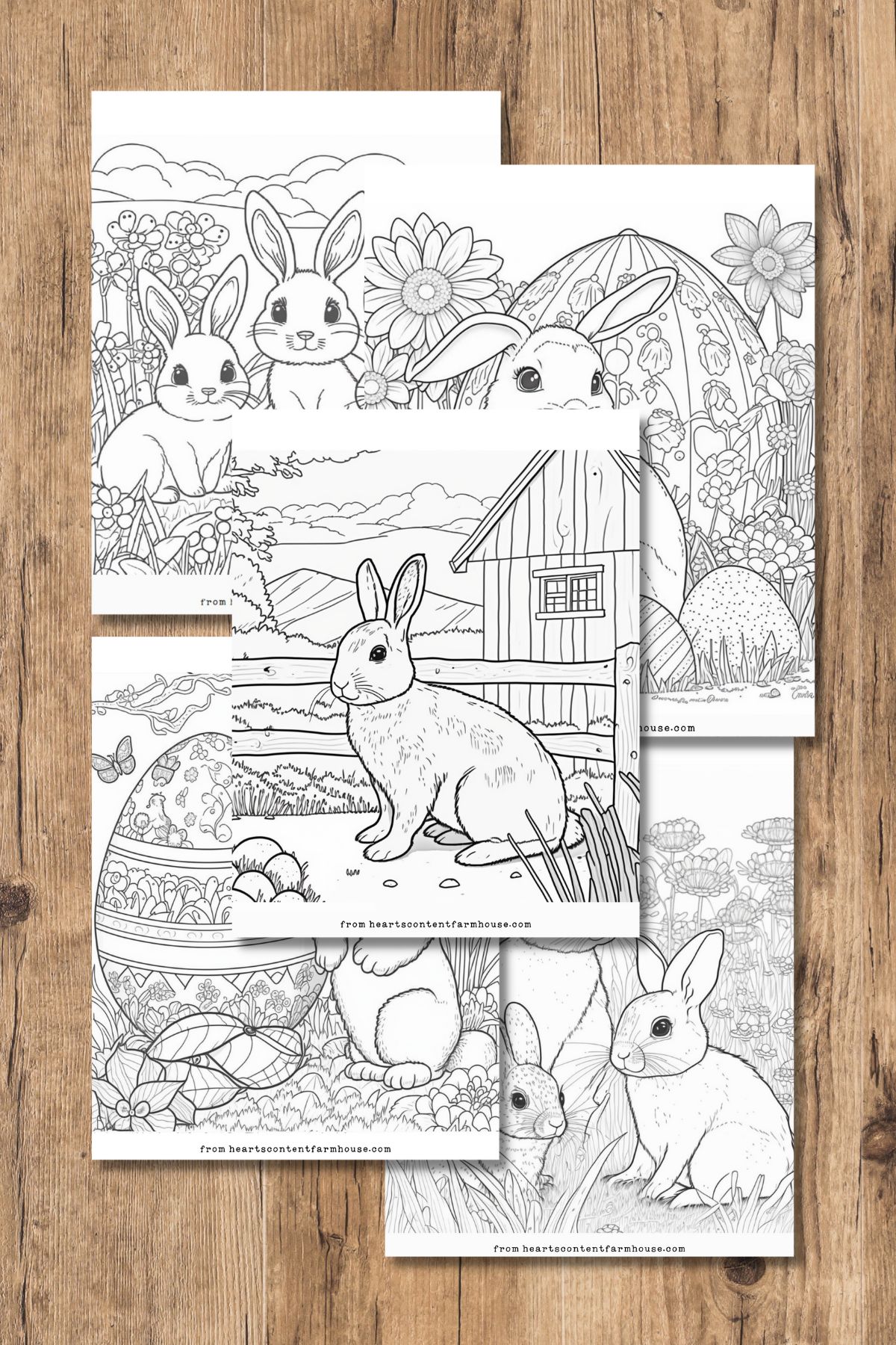 Free bunny coloring pages kids and adults hearts content farmhouse