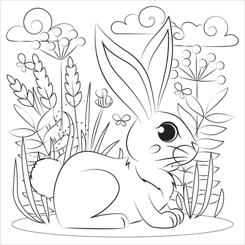 Rabbit coloring page free printable coloring pages