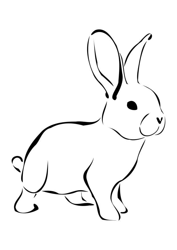 Free printable rabbit coloring pages for kids