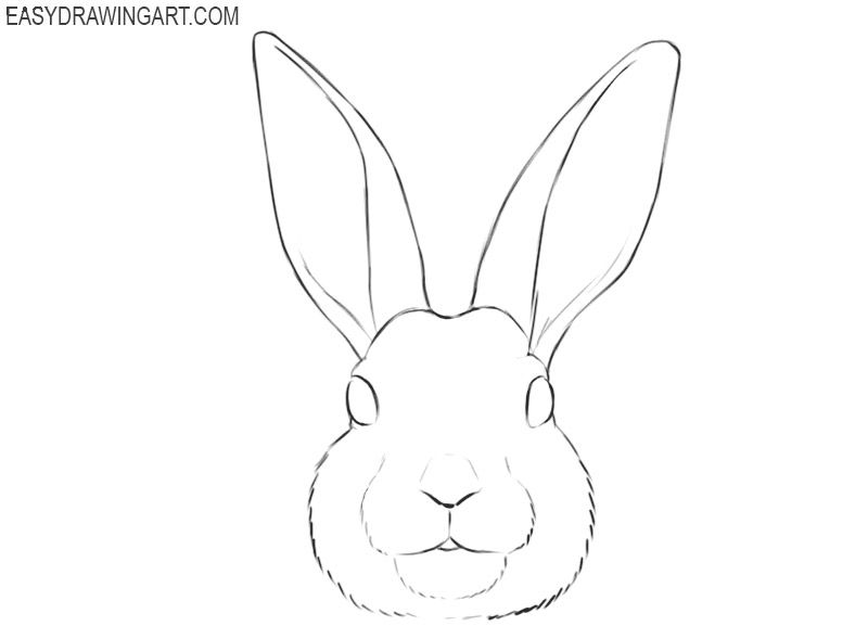 How to draw a bunny face easy drawing art bunny sketches bunny drawing bunny painting