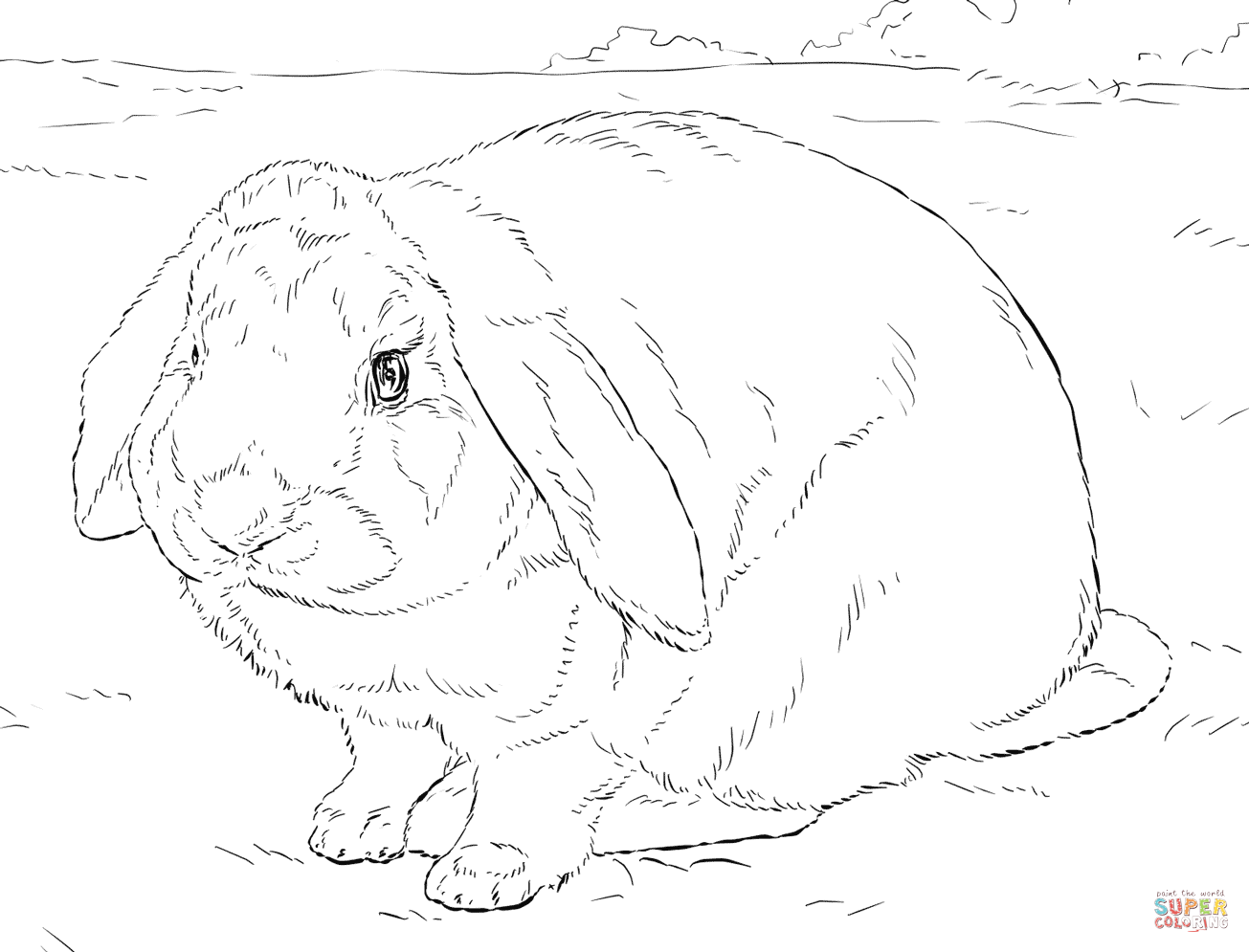 Rabbit coloring page free printable coloring pages