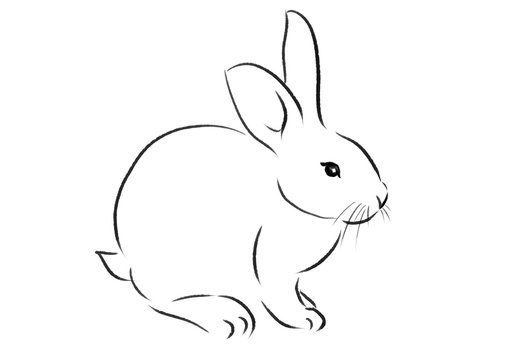 Rabbit outline images â browse photos vectors and video