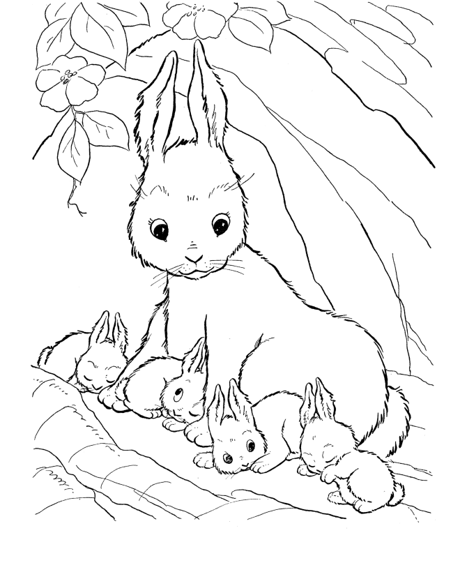 Free printable rabbit coloring pages for kids bunny coloring pages farm animal coloring pages animal coloring pages