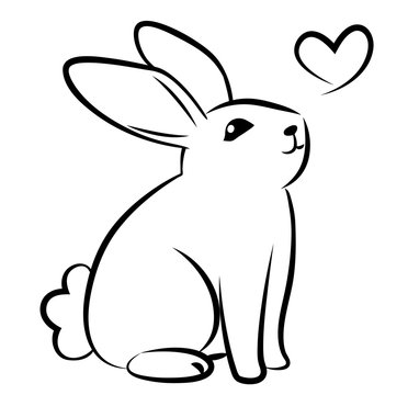 Bunny outline images â browse photos vectors and video