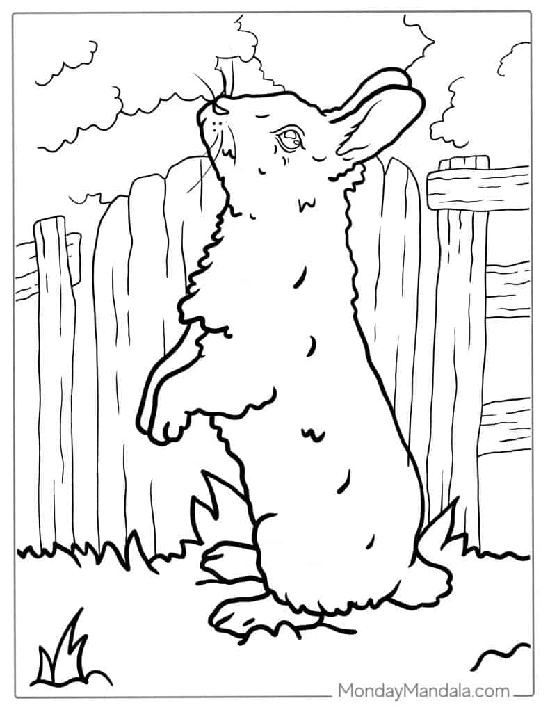 Rabbit coloring pages free pdf printables