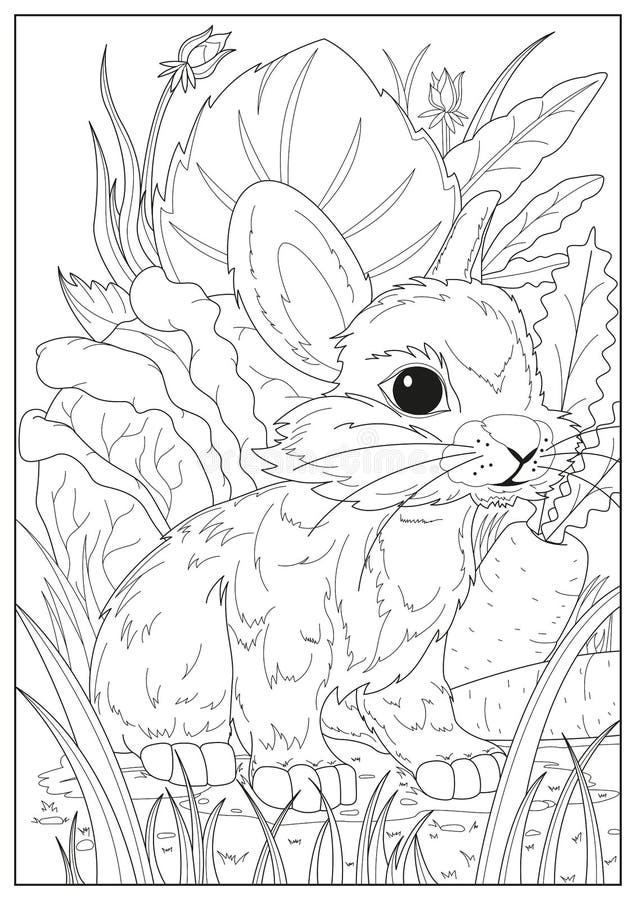 Rabbit coloring pages stock illustrations â rabbit coloring pages stock illustrations vectors clipart