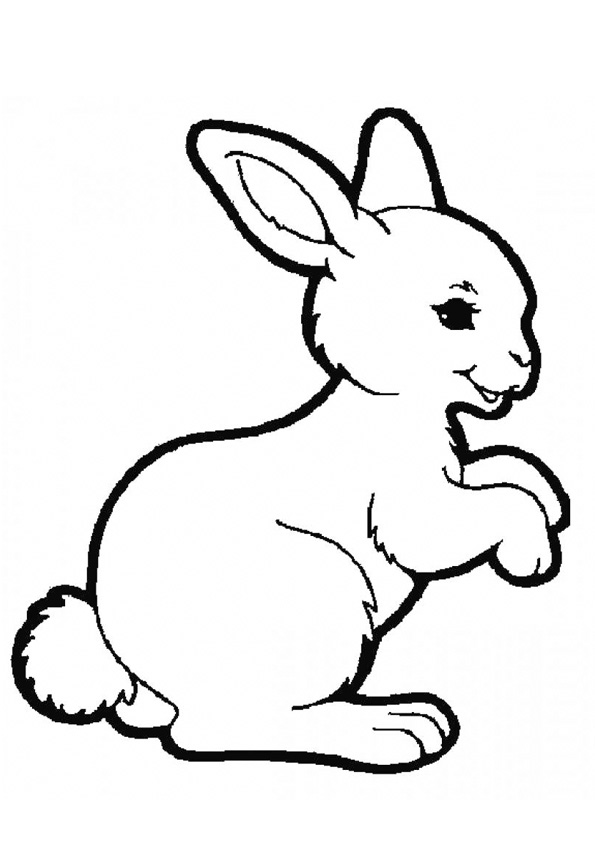 Coloring pages bunny coloring pages for kids