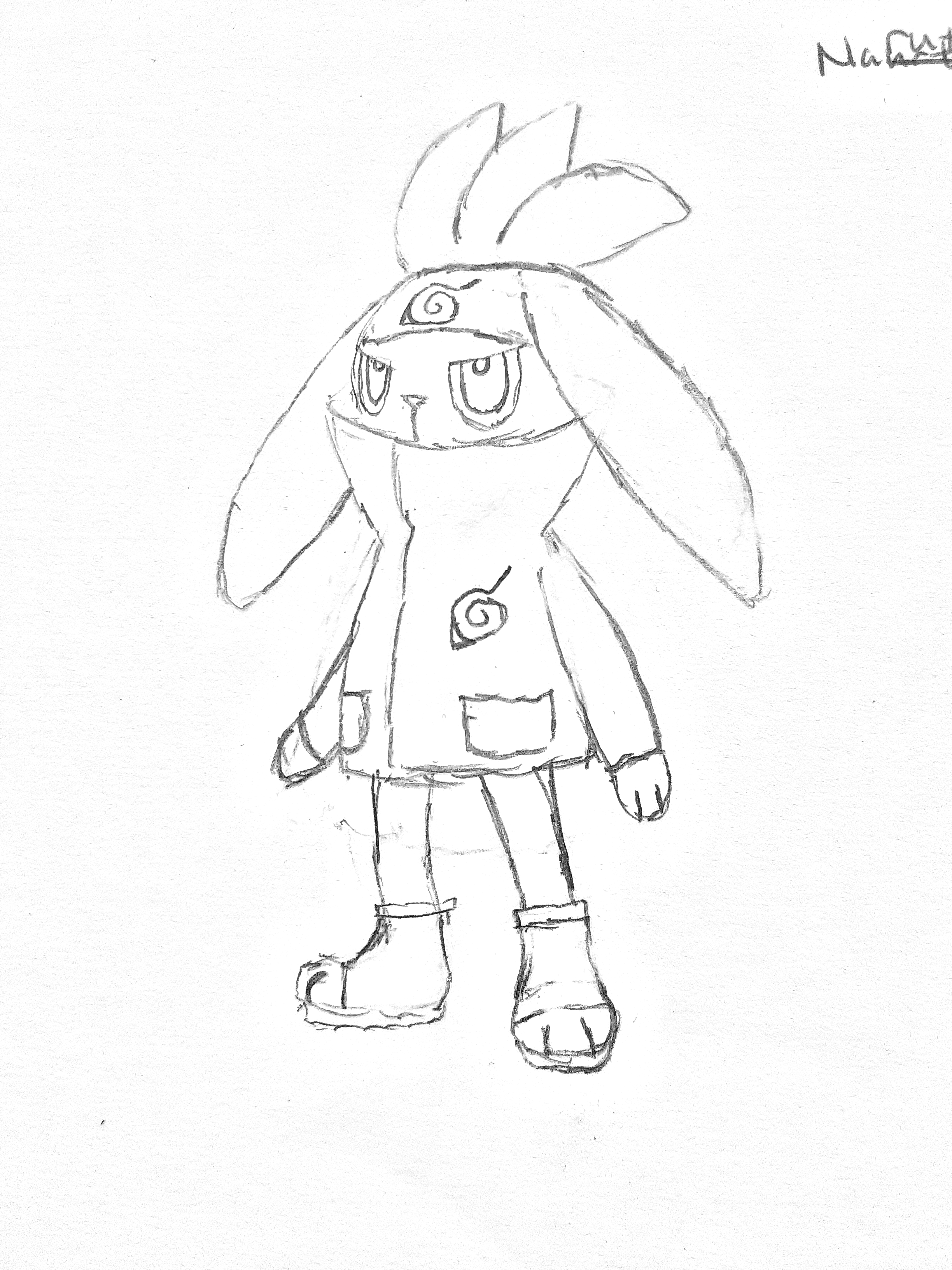 Just a crossover sketch of my favorite gen starter raboot would be perfect for naruto rpokemon