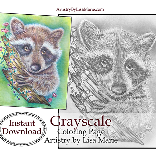 Raccoon printable coloring book page â artistry by lisa marie