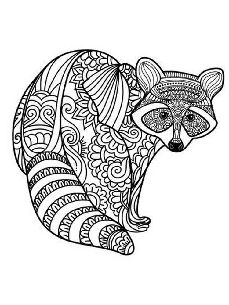 Raccoon coloring pages for adults