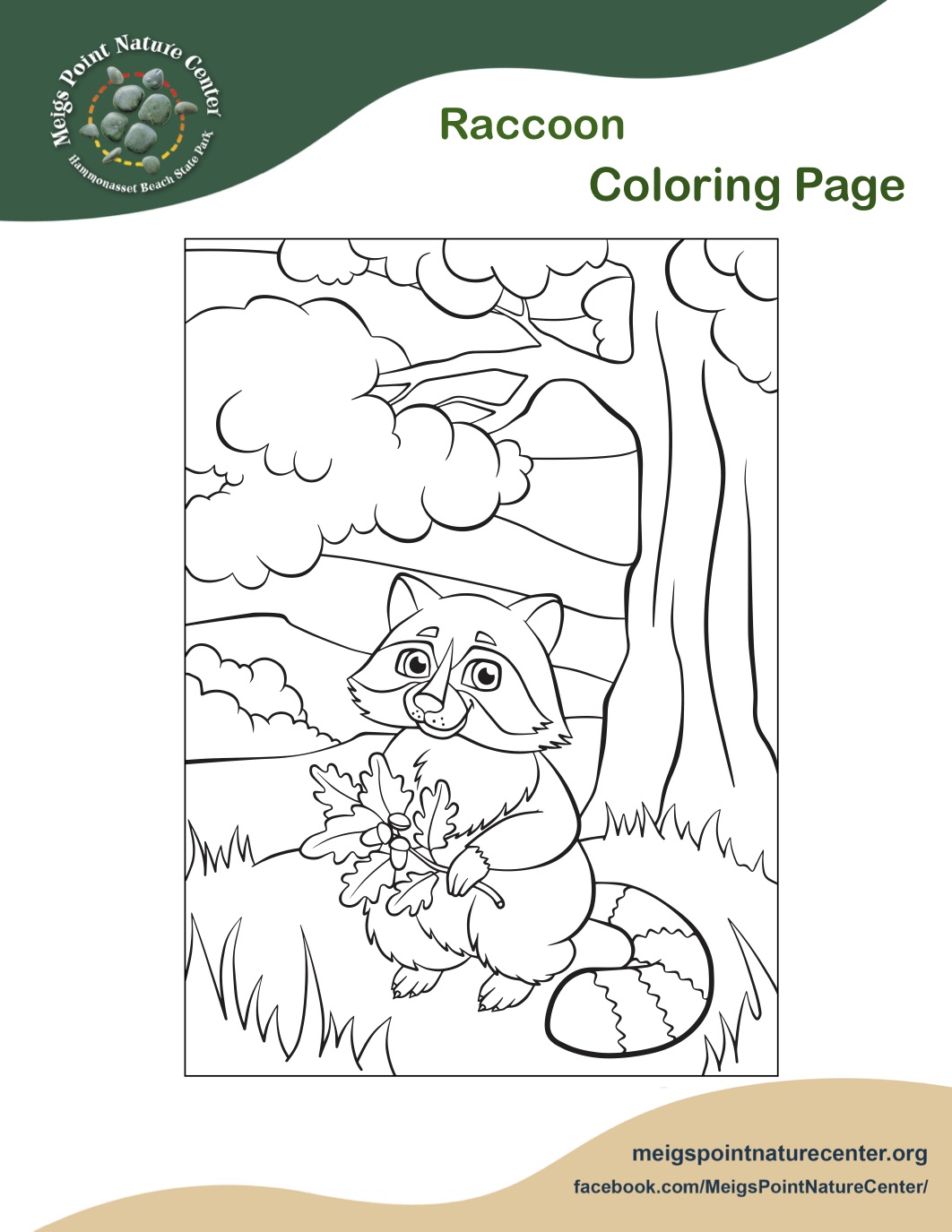 Raccoon coloring page