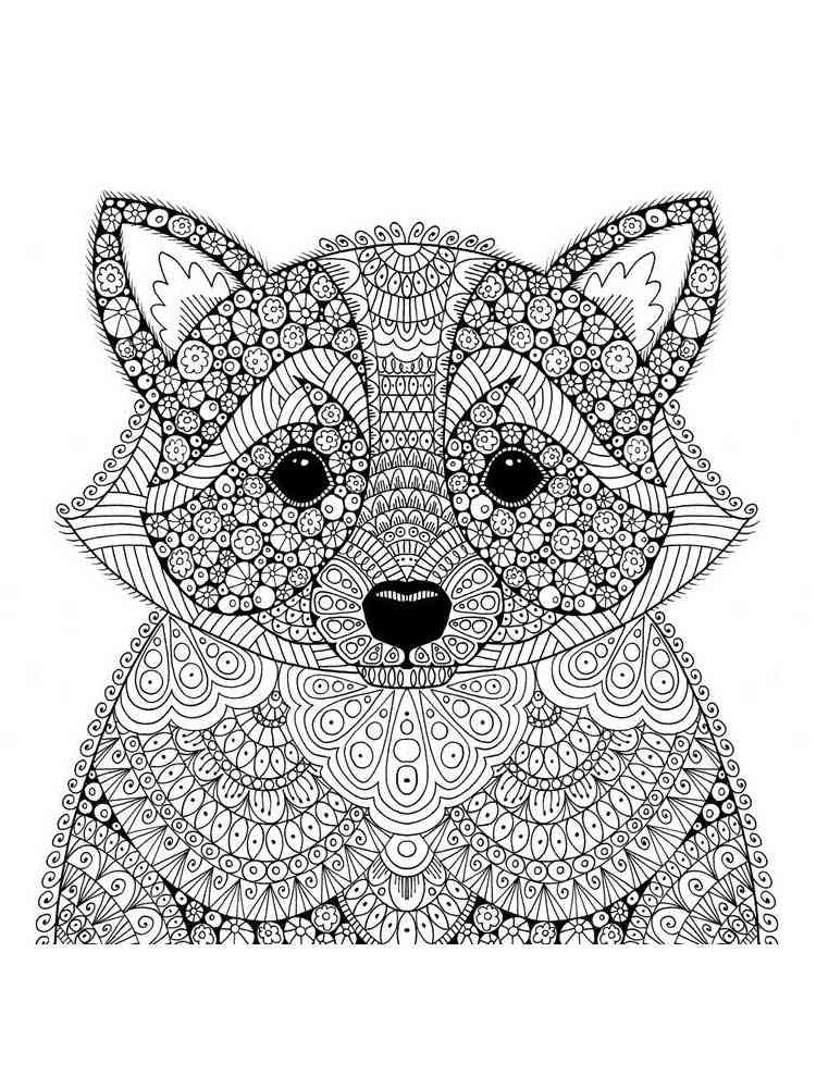 Raccoon coloring pages for adults