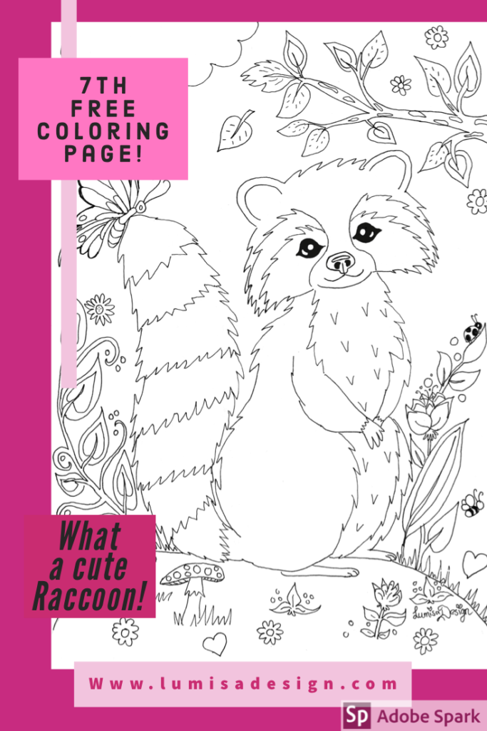 Raccoon colouring page to print â