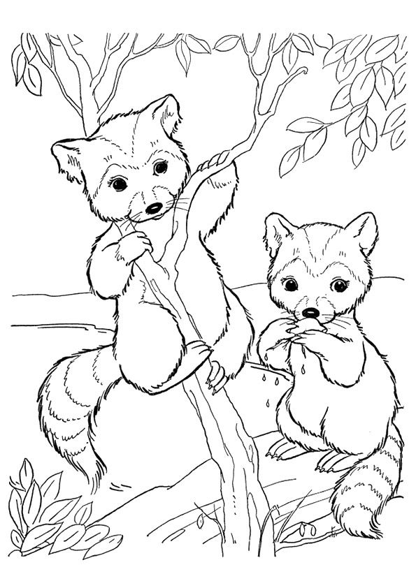 Funny raccoon coloring pages your toddler will love to color coloring pictures of animals deer coloring pages cartoon coloring pages